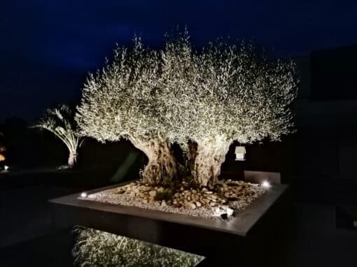 éclairage olivier éclairage olivier