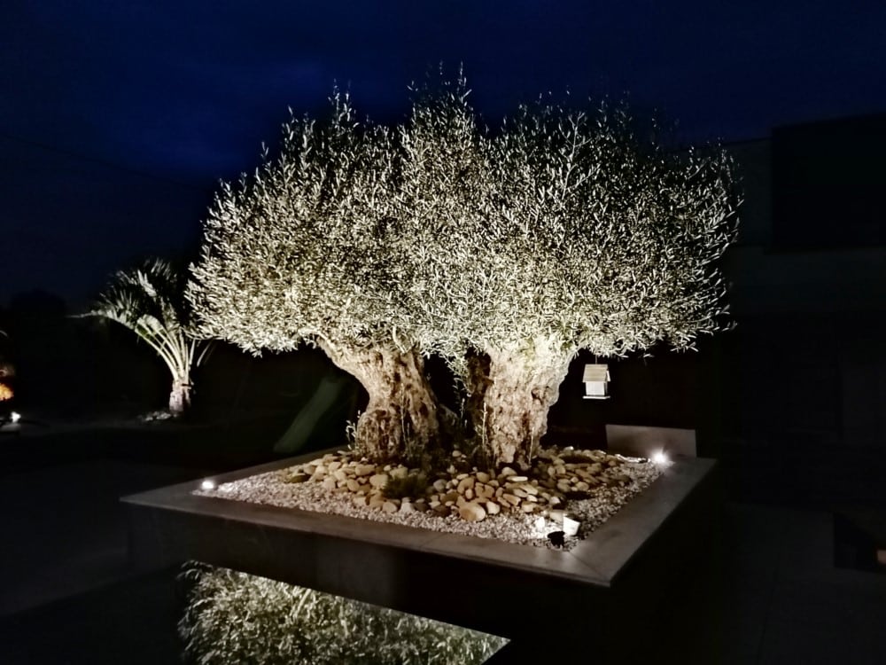 éclairage olivier éclairage olivier