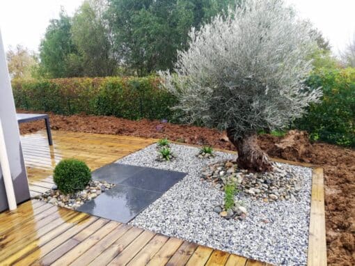 massif olivier terrasse pin classe 4 allée dalle de granit massif olivier terrasse pin classe 4 allée dalle de granit