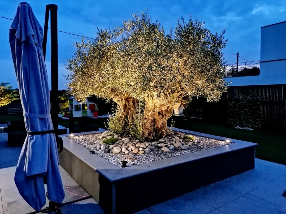 Eclairage Olivier Eclairage Olivier