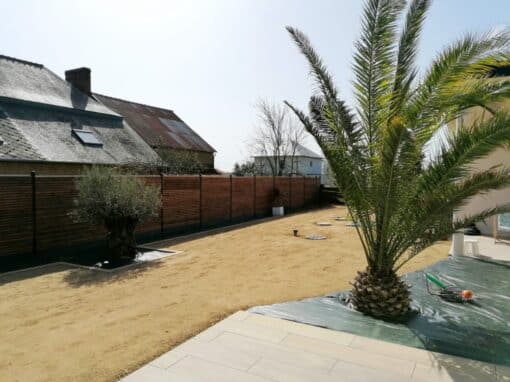 gazon semé gazon semé