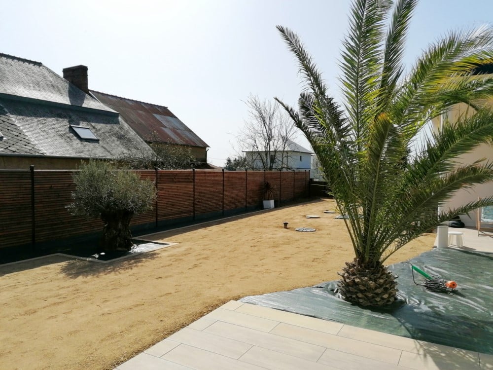 gazon semé gazon semé