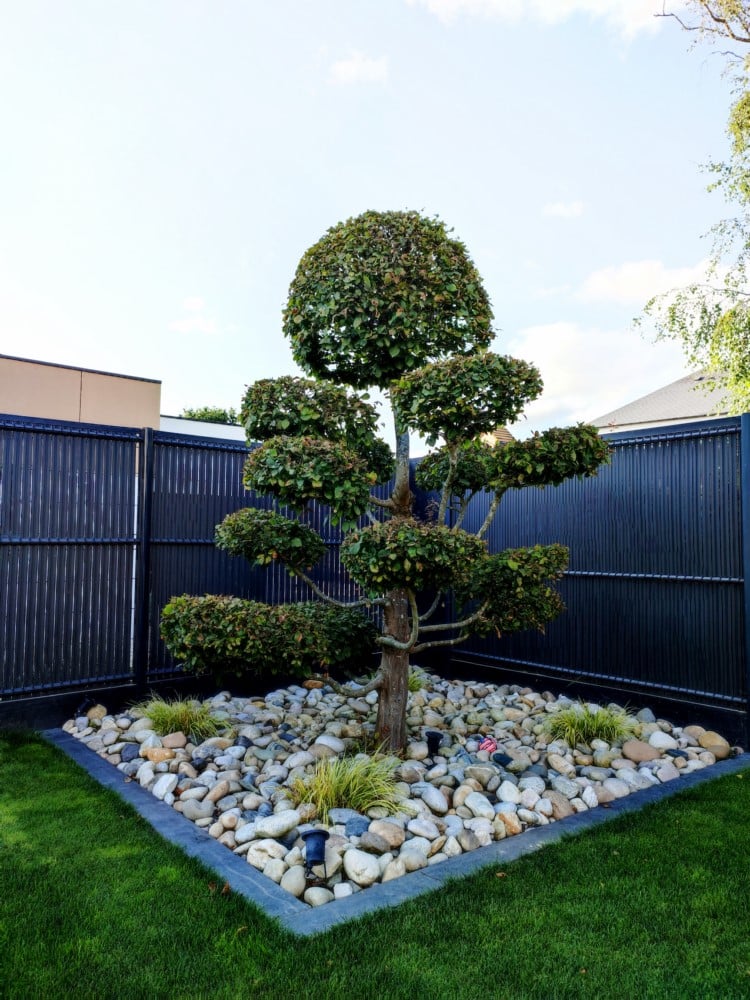 plantation charme nuage plantation charme nuage