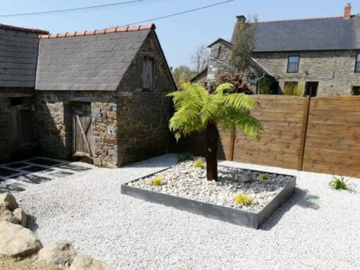 Fougère arborescente bac en dalles d'ardoise Fougère arborescente bac en dalles d'ardoise