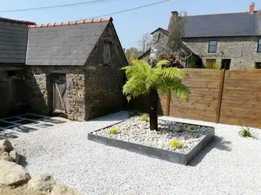Fougère arborescente bac en dalles d'ardoise