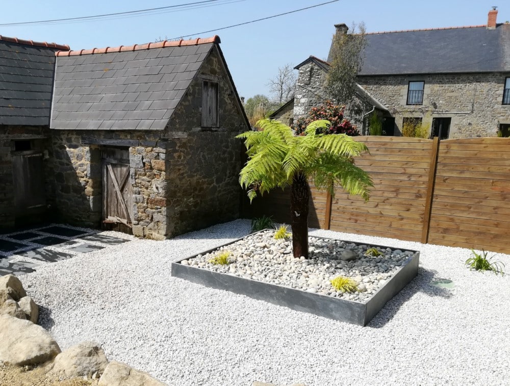 Fougère arborescente bac en dalles d’ardoise Fougère arborescente bac en dalles d'ardoise