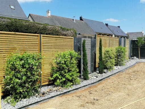 plantation massif avec jasmin étoilé plantation massif avec jasmin étoilé