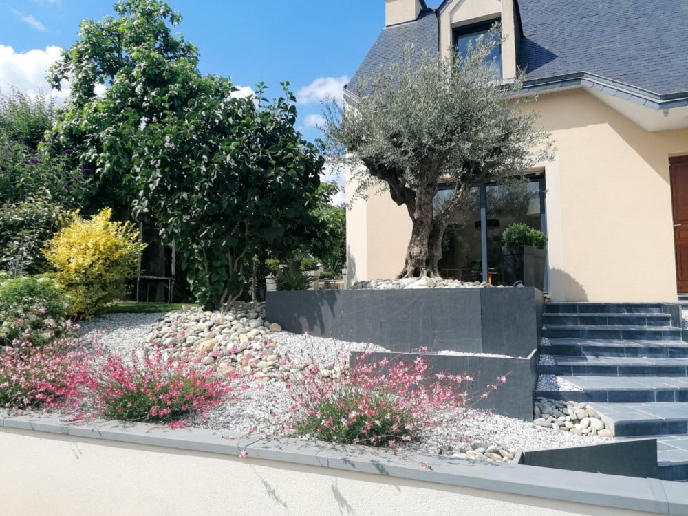 plantation massif plantation massif