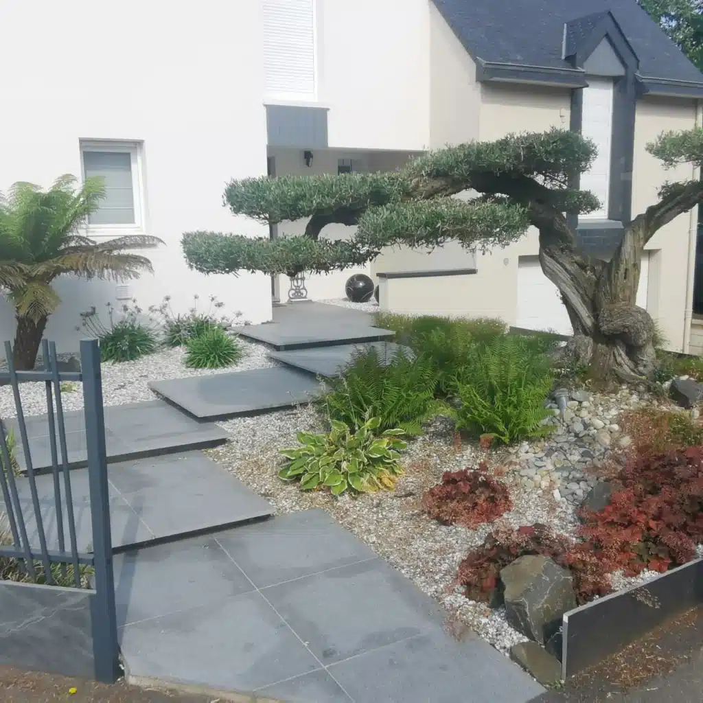 Escalier granit massif vivaces olivier nuage gros sujet Escalier granit massif vivaces olivier nuage gros sujet