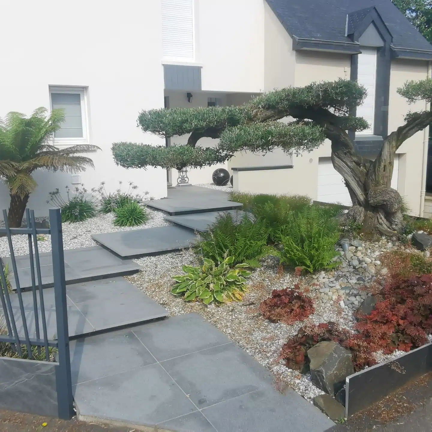 Escalier granit massif vivaces olivier nuage gros sujet