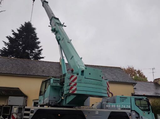 Démontage d'arbre Démontage d'arbre