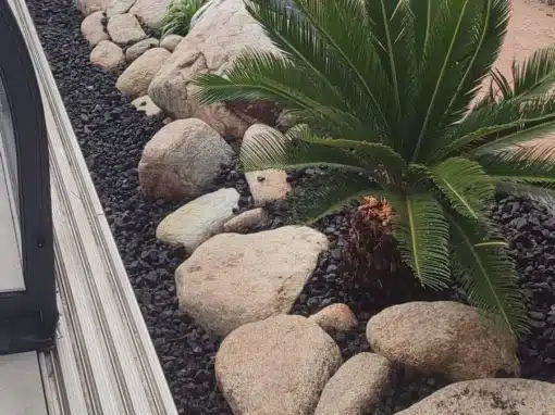 Rocaille galets granit avec plantation Rocaille galets granit avec plantation
