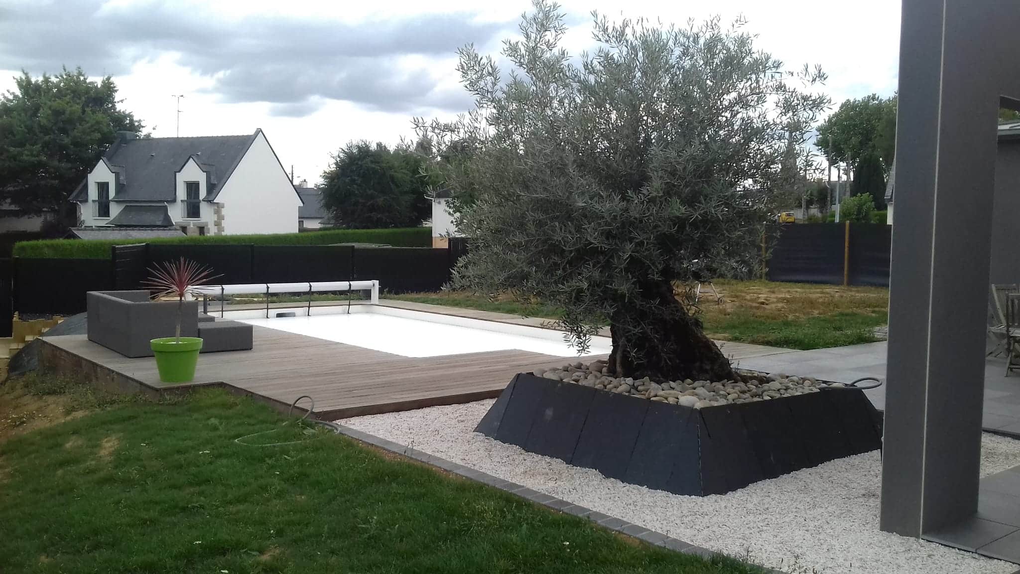 Plantation bord de piscine